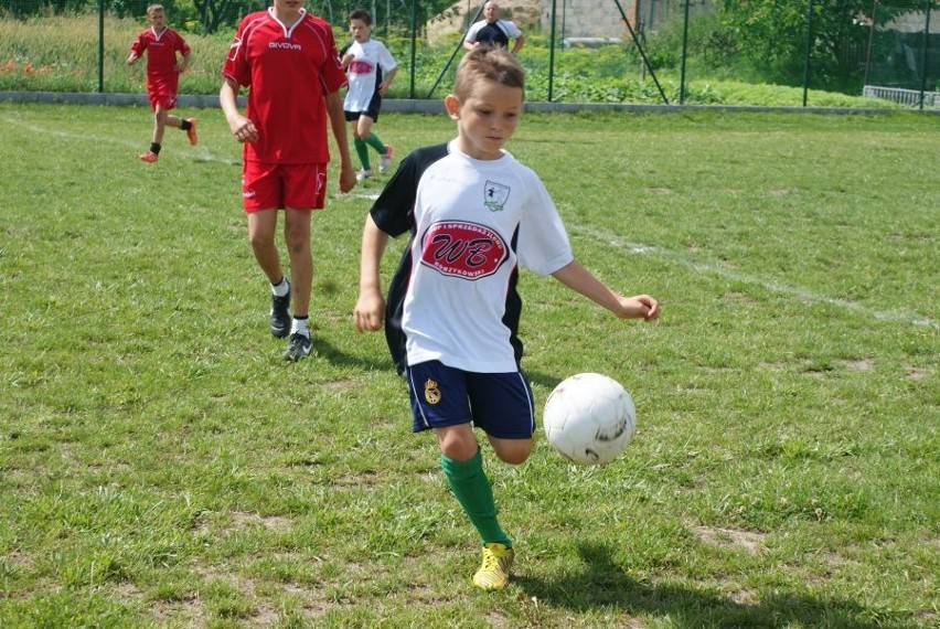 Zdziechowa Cup: Zdziechowa Junior Cup 2013