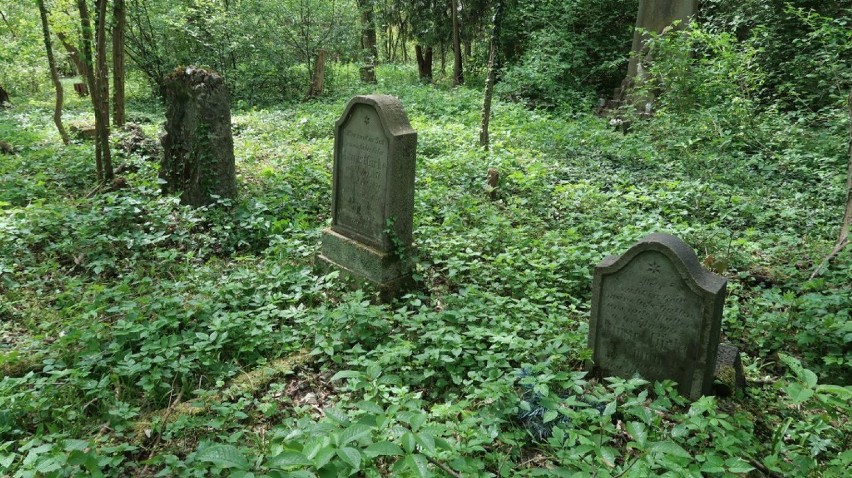 Stary, opuszczony cmentarz ewangelicki w Osetnie jest schowany w głębi lasu [ZDJĘCIA]
