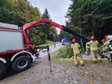 Krynica-Zdrój. Auto dachowało na ul. Pułaskiego i wpadło do potoku [ZDJĘCIA]