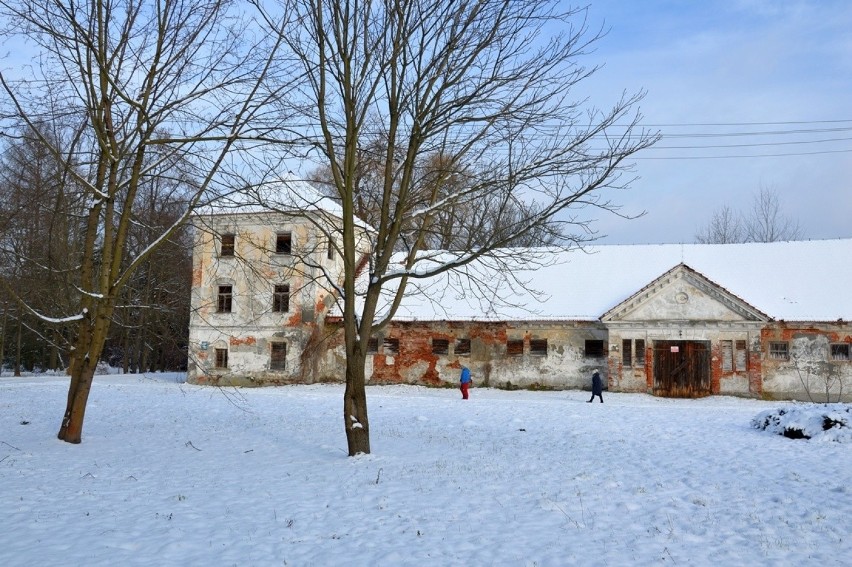 Stalowa Wola. Park księcia Lubomirskiego w zimowej szacie idealnym miejscem do spacerów [ZDJĘCIA]