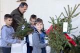 Akcja „sadziMY” z Nadleśnictwem Lutówko. Leśnicy rozdali ponad 2 tysiące drzewek