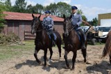 Międzynarodowy Turniej Policji Konnej w Częstochowie. Chorzów górą! [ZDJĘCIA]