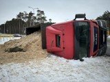 MAN przewrócił się na rondzie. Trociny wysypały się na Drogę Krajową nr 62. Zdjęcia