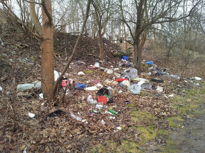 Razem sprzątamy Trójmiasto: Zaśmiecone Pustki Cisowskie. ZDJĘCIA