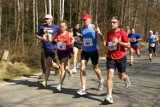 Półmaraton Ślężański 2014 Sobótka [program, trasa]