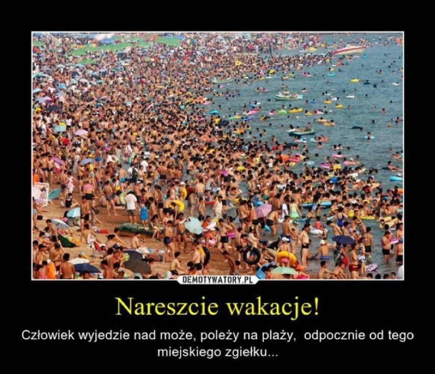 Najlepsze memy o Pomorzu 2019. Województwo pomorskie z...