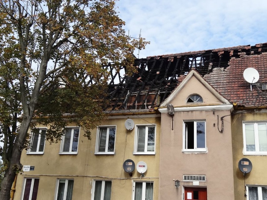 Czwartkowy pożar w Poznaniu, w trzypiętrowym budynku przy...