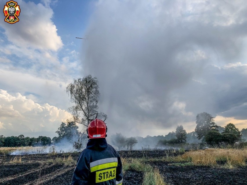 Pożar pola w Brzezince. Spłonęło 60 hektarów 