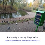 "Automaty z karmą dla ptaków są potrzebne" mówią mieszkańcy powiatu obornickiego
