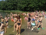 Jankowo Dolne. Powróćmy do lata. Plaża Jeziora Jankowskiego a na niej tłumy