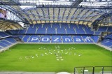 Euro 2012: Stadion miejski w Poznaniu, Kalisz i Palikot w piłkarskim teledysku [ZDJĘCIA, WIDEO]