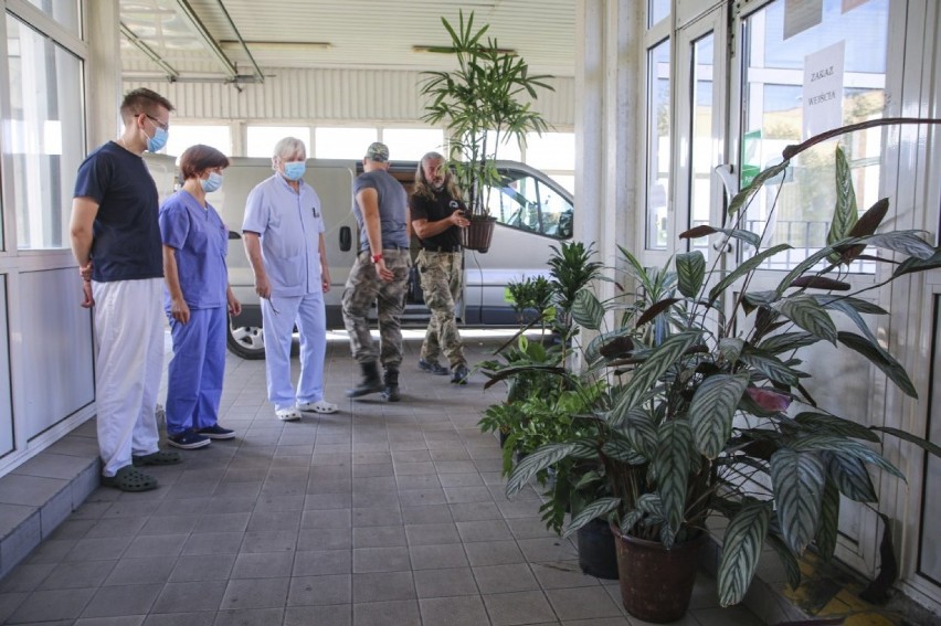 Legnicki szpital jak gęsta dżungla. Dziesiątki nowych roślin na korytarzach