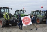 Protesty AgroUnii. Kolumna ciągników przejechała przez Skierniewice