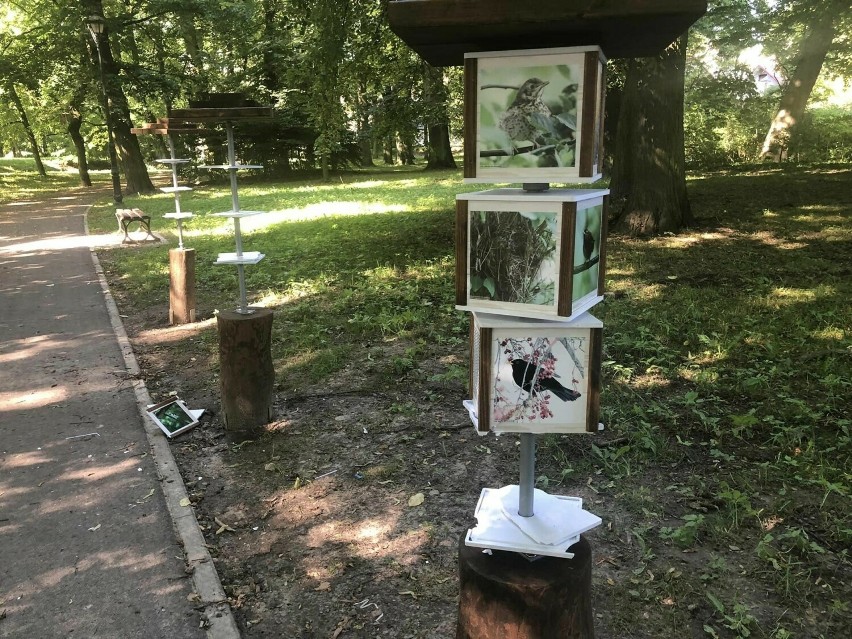 Wandale zniszczyli nową ścieżkę dydaktyczno-przyrodniczą w Krzeszowicach. Edukacyjne elementy rozrzucone nad rzeką na Dzikich Plantach