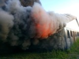 Pożar fermy świń w Wychowańcu na zdjęciach strażaków [GALERIA]