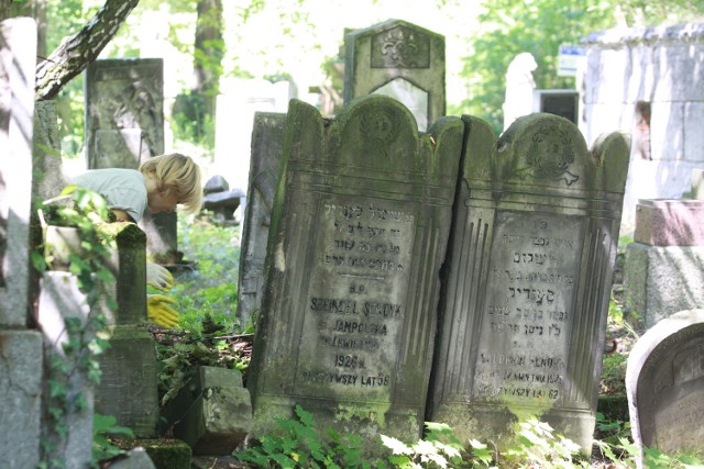 Wolontariusze sprzątali cmentarz żydowski w Łodzi.