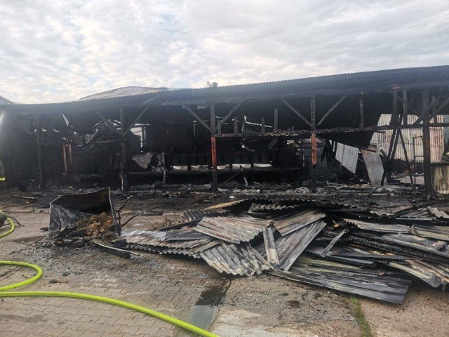 Pożar tartaku w gminie Koźminek. Hala uległa całkowitemu spaleniu