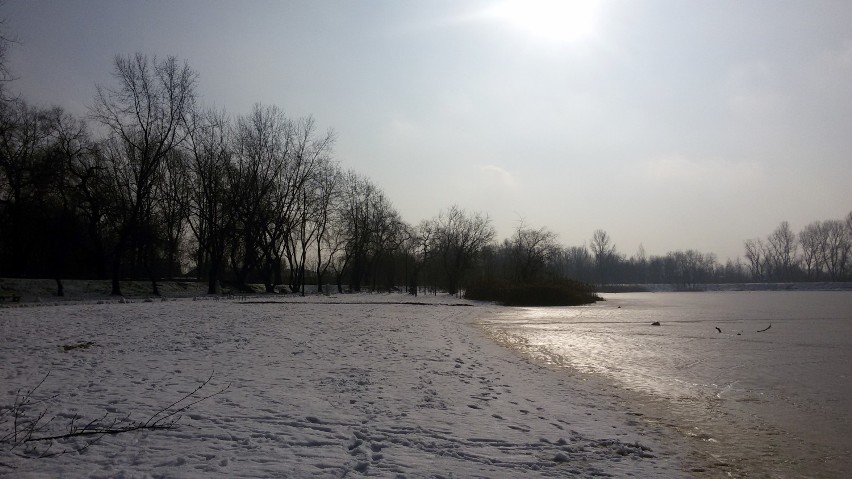 Stawiki Sosnowiec: zima powoli odchodzi, może czas na przedwiosenny spacer? [ZDJĘCIA]