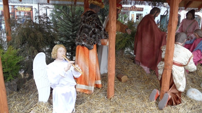 W Mikołowie stoi już piekna stajenka bożonarodzeniowa