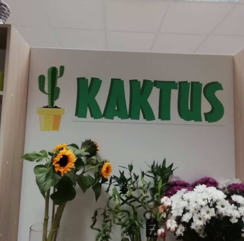 Kwiaciarnia "Kaktus", ul. Moniuszki