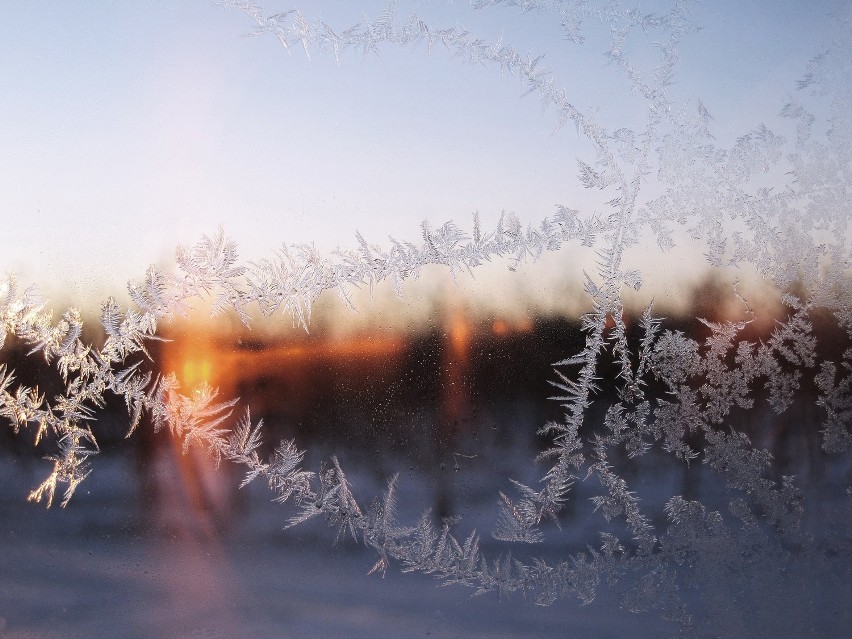 Jabłonka (pow. nowotarski) -37,1°C (godz.5:00)