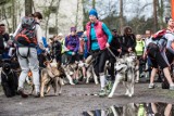 Puchar Polski w Dogtrekkingu już po raz drugi wystartował w Lublińcu [ZDJĘCIA DANIELA DMITRIEWA]