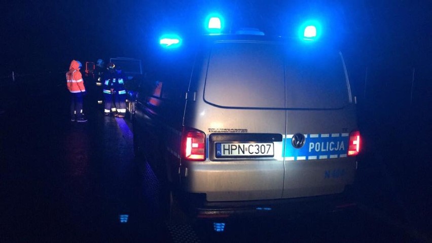 Zderzenie z łosiem na drodze S7 w okolicy miejscowości Kiezmark. Strażacy interweniowali dwa razy w ciągu doby