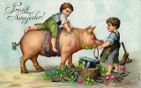 Świnia symbolem szczęścia i fortuny. Zobaczcie wyjątkowe pocztówki z motywem tych zwierząt. Można się uśmiać [ZDJĘCIA] 