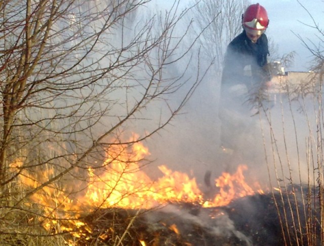Od 12 do 18 marca strażacy aż 35 razy interweniowali do pożarów na nieużytkowanych powierzchniach rolniczych oraz obszarach leśnych
