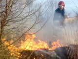 Kronika strażacka: Pożar domu i wypalanie traw