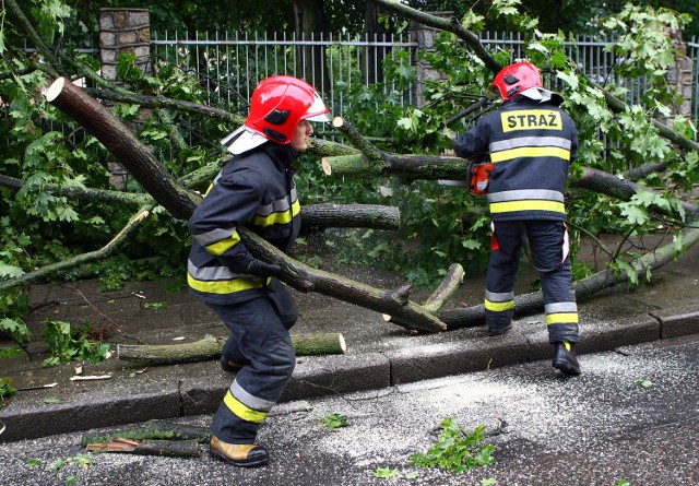 Skutki burzy i ulewy, które przeszła nad miastem są spore. ...