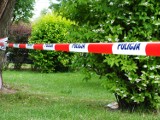 Wypadek w Gołaszynie: Spłoszony koń wpadł do rowu. Dwie osoby ranne
