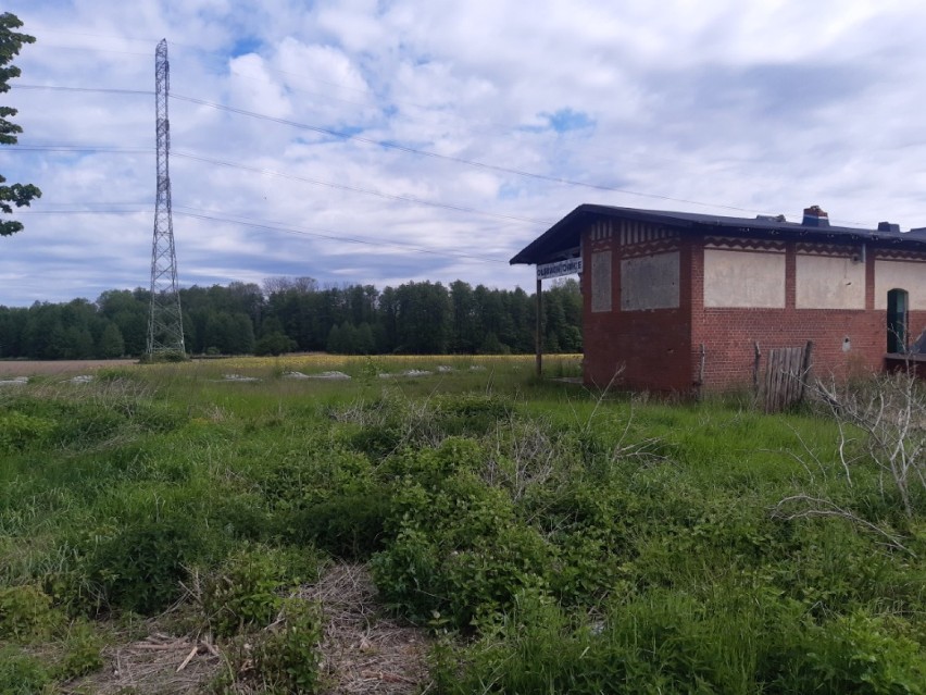 Peron i budynek stacji w Olbrachtowicach leży na linii 285,...