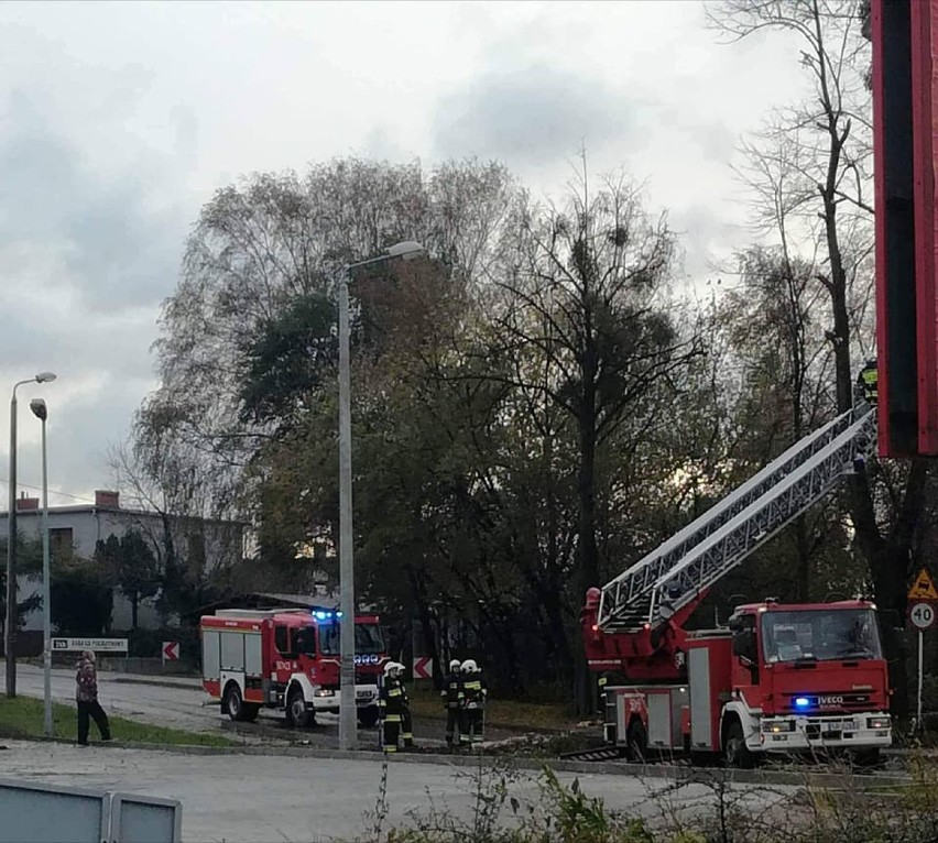 Nawałnica w Rybniku łamała drzewa, latarnie i słupy energetyczne