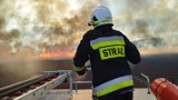 Wielki pożar zboża i ścierniska w Gutowie! Zapalił się też wóz strażacki. Gapie utrudniają strażakom dojazd na miejsce pożaru