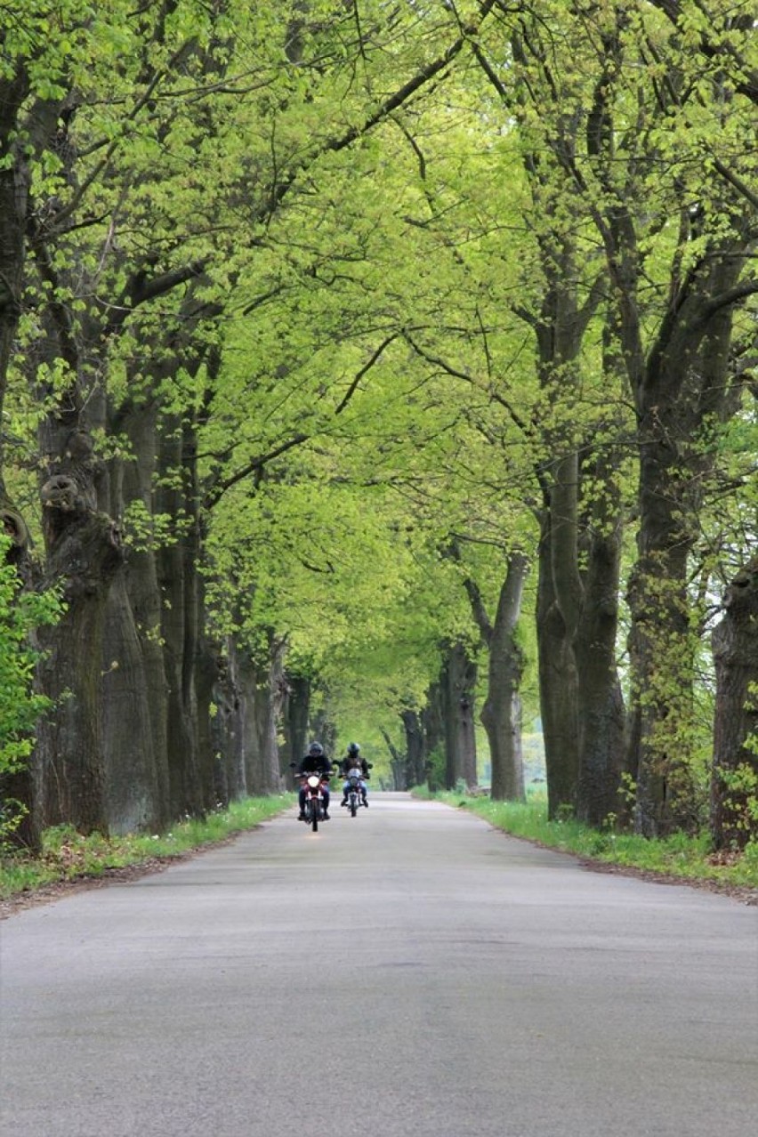 Fundacja Foto Pozytyw z Radomska zaprosiła na wiosenny plener [ZDJĘCIA]