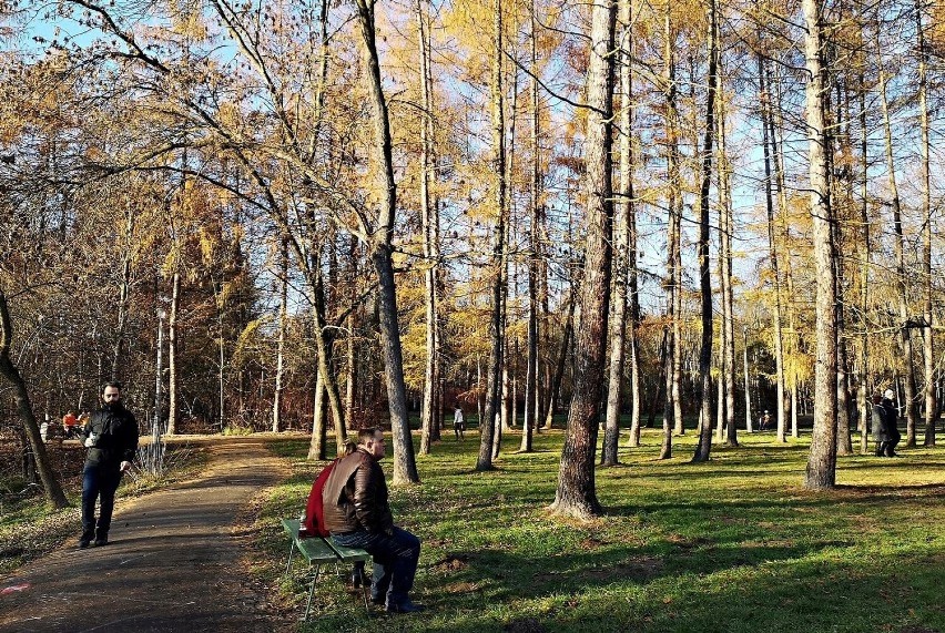 Pomiędzy Krakowem, a Nową Hutą znajduje się Park Lotników...