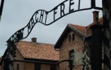Młodzi Anglicy ukarani za wandalizm w Auschwitz
