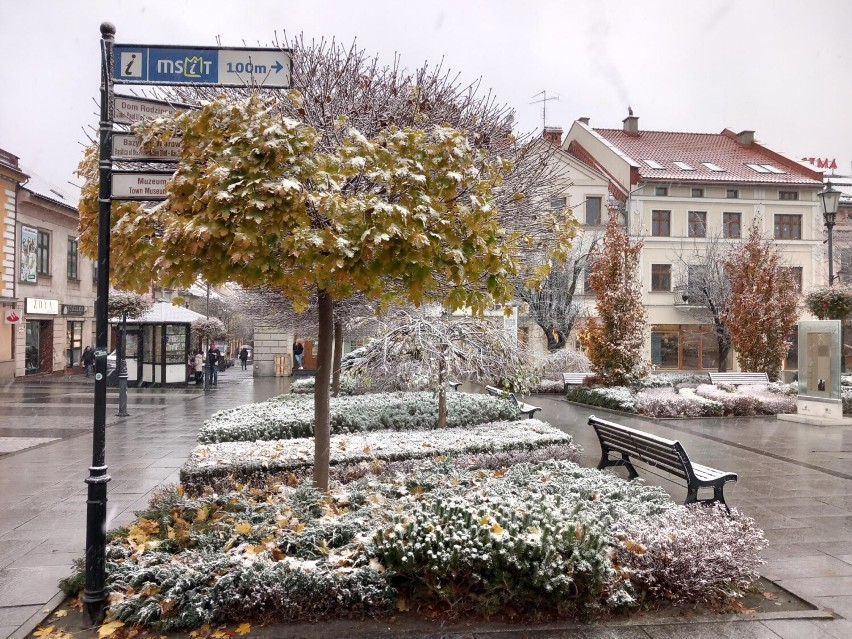 Zima 2022/2023. Pierwszy śnieg w Wadowicach