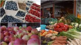 Tarnów. Ile kosztują owoce i warzywa na Burku? Ceny malin, moreli, borówki, a także fasoli, ogórków i pomidorów 