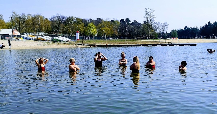 Wiosenne kąpiele ostrowskich morsów i foczek na Piaskach