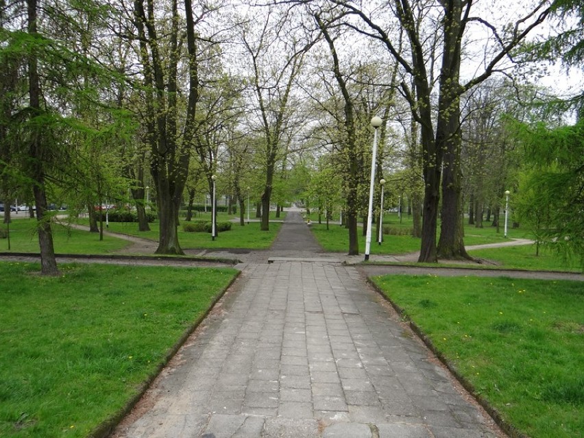 Park w Zduńskiej Woli. Wkrótce przebudowa stawów