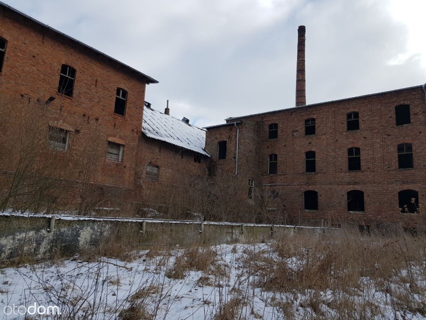 Gm. Kaźmierz. Stara gorzelnia wystawiona na sprzedaż. Na jakie cele mogłaby zostać zaadaptowana?