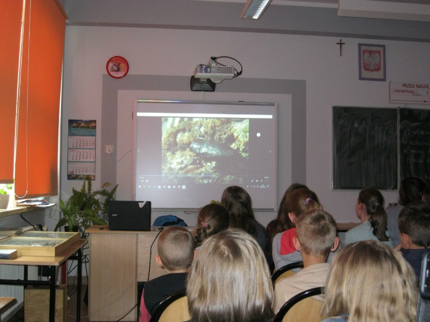 Wystawa owadów w Krzepicach FOTO               