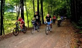 Najbardziej malownicze trasy rowerowe w Lubuskiem. Gdzie na dwóch kółkach wybrać się na wycieczkę? [ZDJĘCIA]