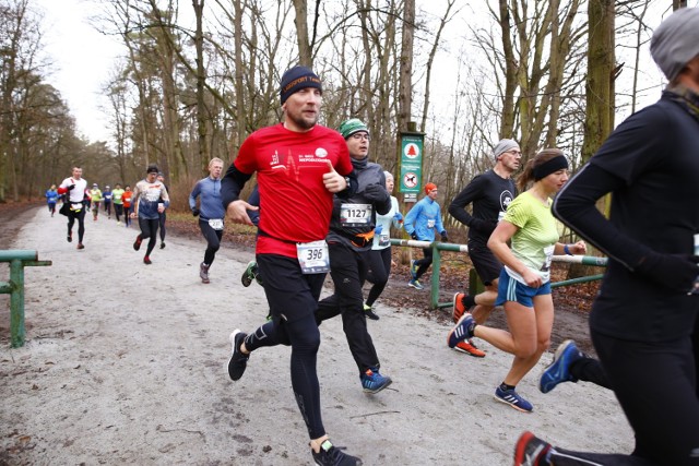 City Trail 2019, Warszawa. Zobacz zdjęcia z największego cyklu biegowego w Lesie Młocińskim