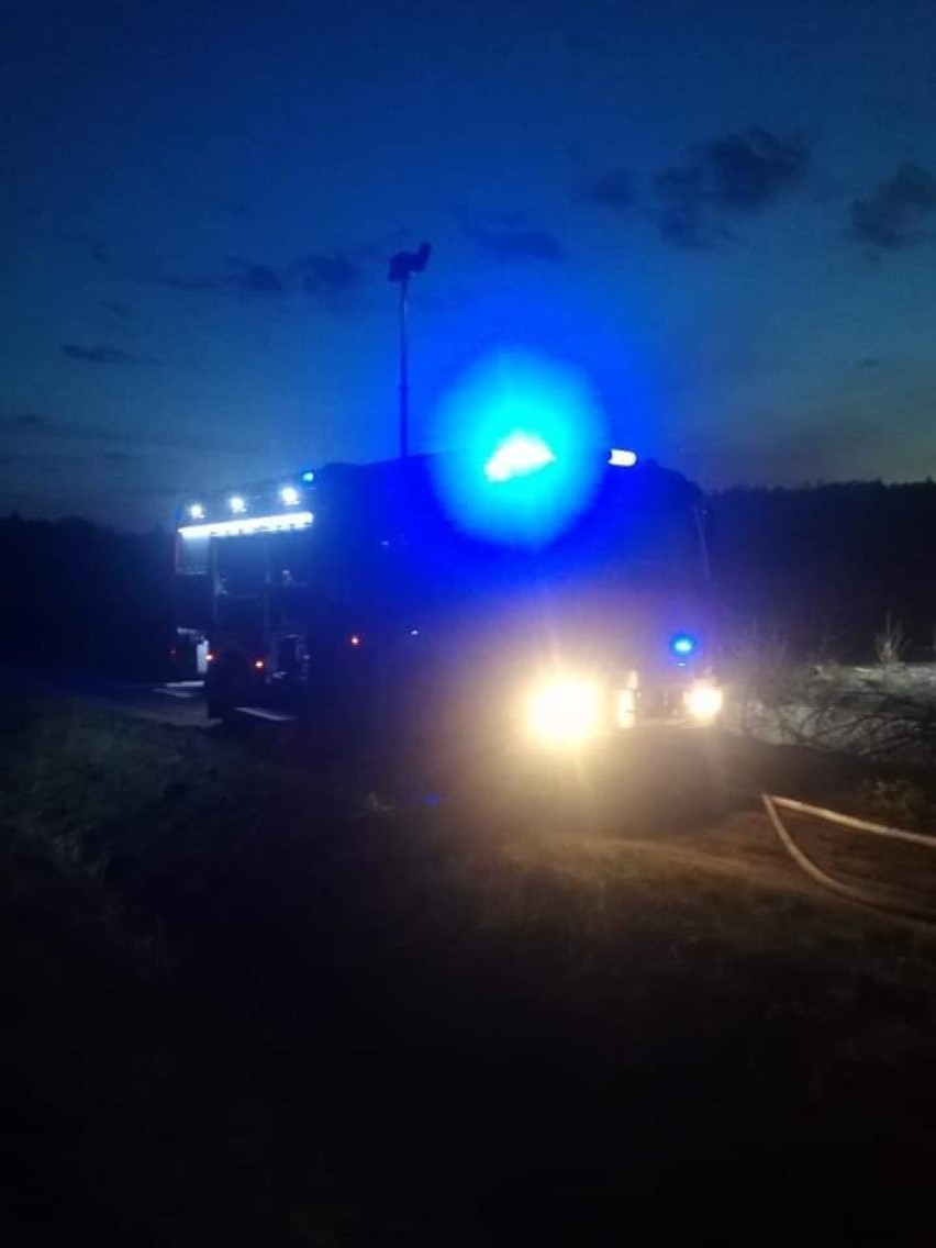 Pożar nieużytków przy ul. Tartacznej w Zumpach 25.04.2019.