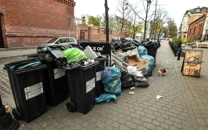 Góry śmieci na ulicach Bydgoszczy. Kary i ultimatum dla Komunalnika [zdjęcia]