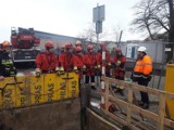Kaliscy strażacy z grupy ratownictwa wysokościowego ćwiczyli ratowanie w wykopach. ZDJĘCIA