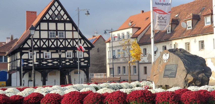 Cały Sulików w chryzantemach. Musicie to zobaczyć! [ZDJĘCIA]